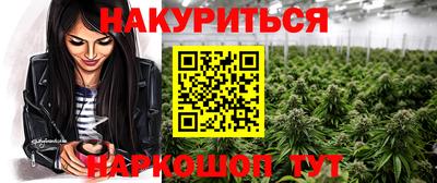 крисы Кандалакша