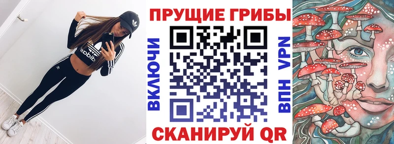 Псилоцибиновые грибы MAGIC MUSHROOMS  гидра   Крымск 